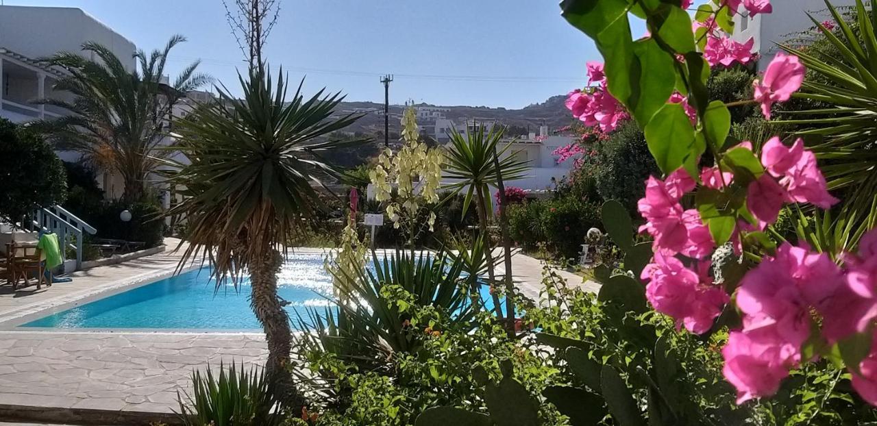 Ariadne Pool At *